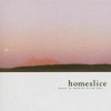 Homeslice - What Is Wrong With You: Album-Cover