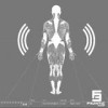 Frantic Bleep - The Sense Apparatus: Album-Cover