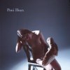 Poni Hoax - Poni Hoax: Album-Cover