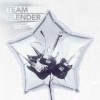 Team Blender - Erstmal Für Immer: Album-Cover