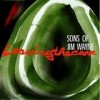 Sons Of Jim Wayne - Leaving The Cave: Album-Cover