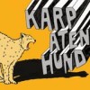 Karpatenhund - #3: Album-Cover