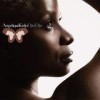 Angelique Kidjo - Djin Djin: Album-Cover