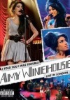 Amy Winehouse - I Told You I Was Trouble