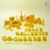 Sonar Kollektiv Orchester - Guaranteed Niceness: Album-Cover