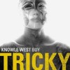 Tricky - Knowle West Boy: Album-Cover