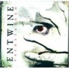 Entwine - Painstained: Album-Cover