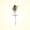 Patrick Watson And The Wooden Arms - Wooden Arms: Album-Cover