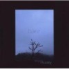 Wayne Hussey - Bare: Album-Cover