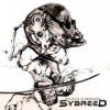 Sybreed - The Pulse Of Awakening: Album-Cover