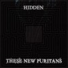 These New Puritans - Hidden: Album-Cover