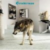 Grinderman - Grinderman 2: Album-Cover