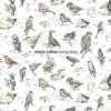 Edwyn Collins - Losing Sleep: Album-Cover
