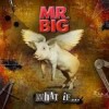 Mr. Big - What If ...: Album-Cover