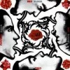 Red Hot Chili Peppers - Blood Sugar Sex Magik: Album-Cover