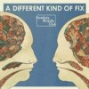 Bombay Bicycle Club - A Different Kind Of Fix: Album-Cover