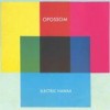 Opossom - Electric Hawaii: Album-Cover