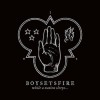 Boysetsfire - While A Nation Sleeps ...: Album-Cover