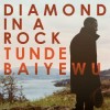 Tunde Baiyewu - Diamond In A Rock: Album-Cover