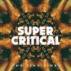 The Ting Tings - Super Critical: Album-Cover