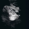 Squarepusher - Damogen Furies: Album-Cover