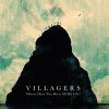Villagers - Where Have You Been All My Life?: Album-Cover