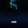 Suede - Night Thoughts: Album-Cover