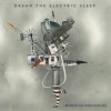 Dream The Electric Sleep - Beneath The Dark Wide Sky: Album-Cover