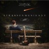 Dame - Straßenmusikant