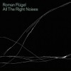 Roman Flügel - All The Right Noises: Album-Cover