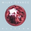 Milky Chance - Blossom: Album-Cover