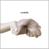 Candelilla - Camping: Album-Cover