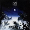 Coil - Musick To Play In The Dark Vol. 1 & 2: Album-Cover
