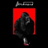 Left Boy - Ferdinand: Album-Cover