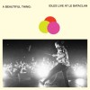 Idles - A Beautiful Thing: IDLES Live At Le Bataclan: Album-Cover