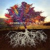 Robert Plant - Digging Deep: Subterranea: Album-Cover