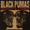Black Pumas - Chronicles Of A Diamond: Album-Cover