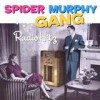 Spider Murphy Gang - Radio Hitz: Album-Cover