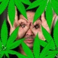 Metalsplitter - Gene Simmons, wie verkauft man Cannabis?