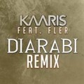 Kaaris feat. Fler - "Diarabi" im deutsch-französischen Remix