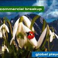 Commercial Breakup – Global Player