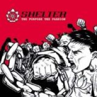 Shelter – The Purpose, The Passion