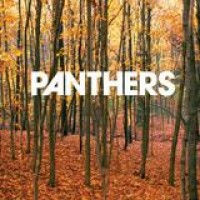 Panthers – Things Are Strange