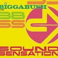 Bigga Bush – Sound Sensation