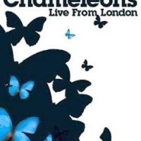 The Chameleons – Live From London