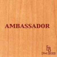 Elliott Brood – Ambassador