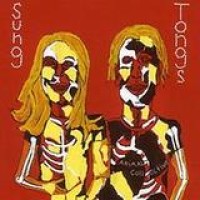 Animal Collective – Sung Tongs