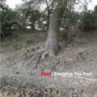 Shed – Shedding The Past