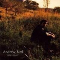 Andrew Bird – Noble Beast