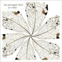 The Pineapple Thief – 3000 Days